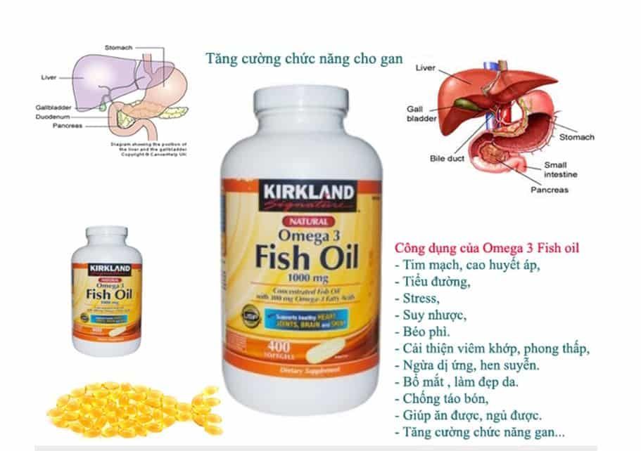 Thành phần Fish Oil 1000mg của Mỹ