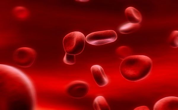 Vai trò của huyết tương trong máu