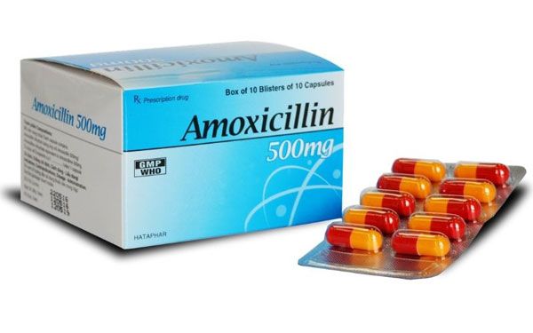 Thuốc kháng sinh liều thấp Amoxicillin