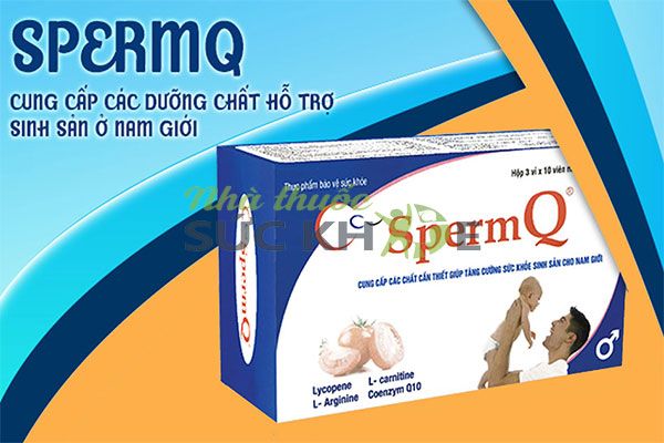 Thành phần của viên uống SpermQ tăng khả năng thụ thai hiệu quả
