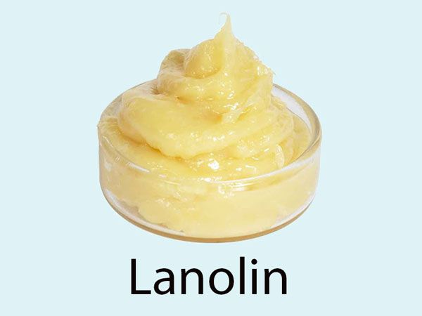 Lanolin cải thiện làn da khô ráp thiếu độ ẩm