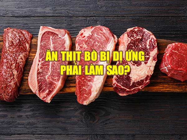 Cách xử lý khi bị dị ứng với thịt bò
