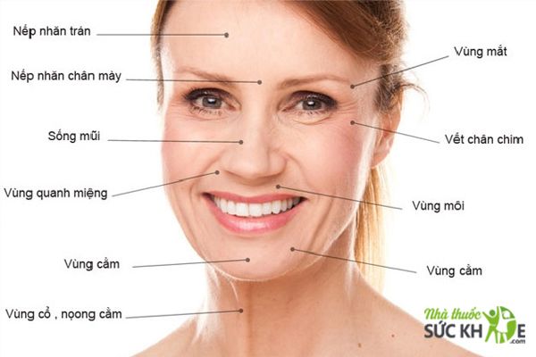 Collagen có tác dụng hỗ trợ ngăn ngừa hình thành nếp nhăn trên da