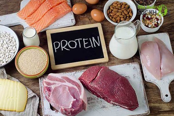 Protein là chất then chốt cho sự hình thành và phát triển của xương