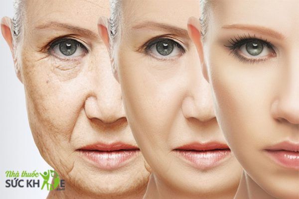 Sử dụng Collagen chống lão hóa là phương pháp được nhiều người lựa chọn