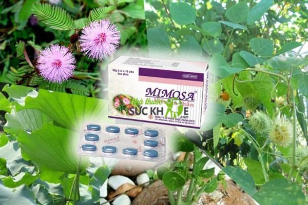 Thuốc Mimosa không gây hại cho người dùng