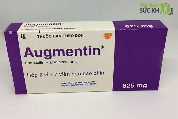 Augmentin là thuốc gì