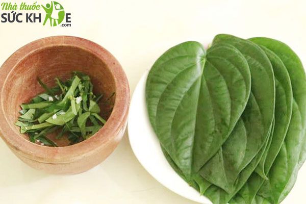 Lá trầu giảm ngứa rát do nấm bệnh gây ra