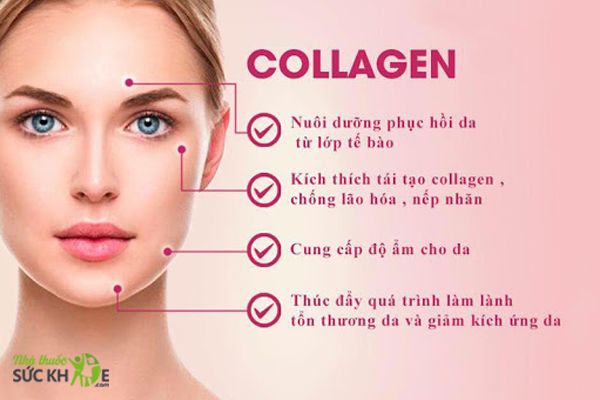 Tầm quan trọng Collagen đối với cơ thể