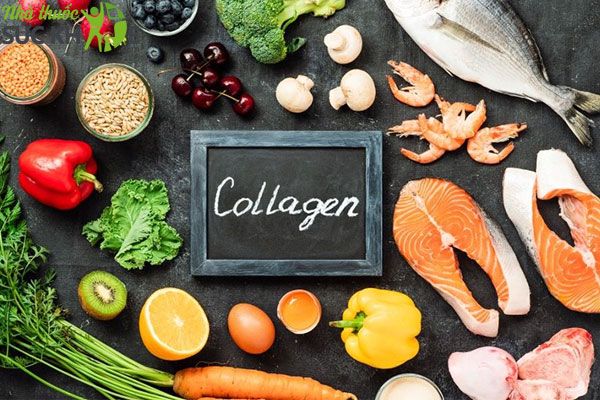 Tăng cường thực phẩm giàu collagen để có hiệu quả trẻ hóa da tốt nhất