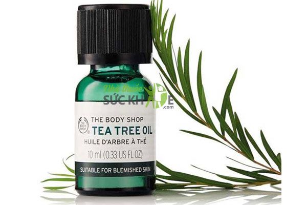 Tinh dầu Tea Tree Oil có công dụng kháng viêm, diệt khuẩn, điều trị mụn