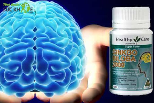 Ginkgo Biloba giảm đau đầu, chóng mặt