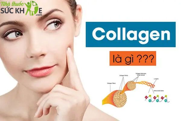 Collagen giúp trẻ hóa làn da chống lão hóa, chảy xệ