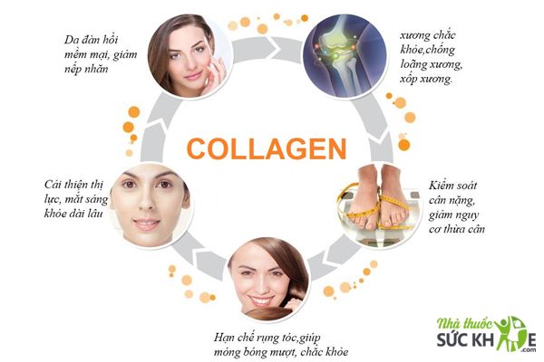 Vai trò của Collagen với cơ thể