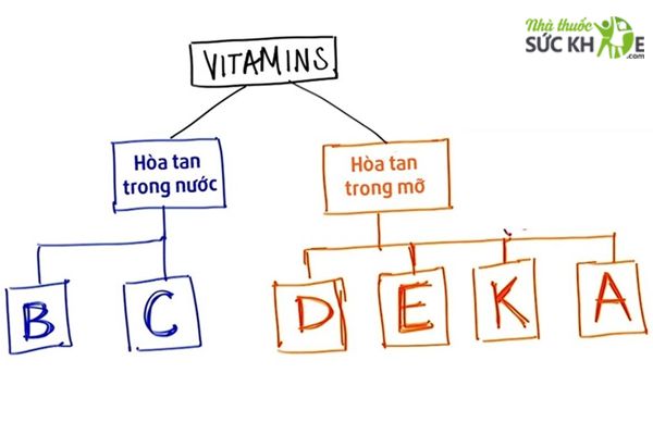 Vitamin tan trong nước