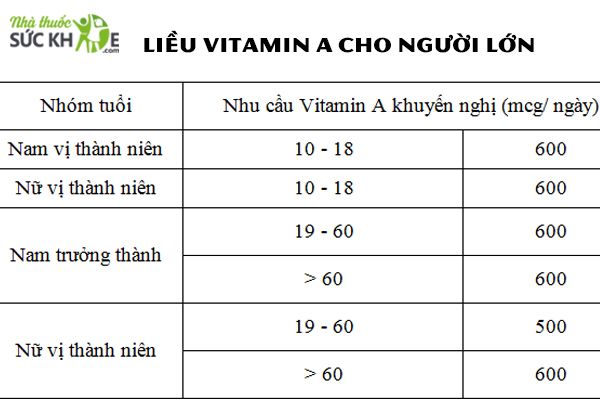 Bổ sung Vitamin A cho người trưởng thành