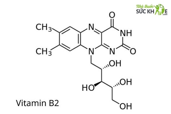 Riboflavin