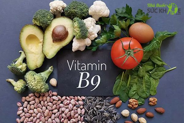 Vai trò của Vitamin B9
