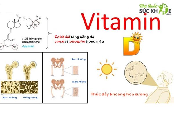 Vai trò của Vitamin D