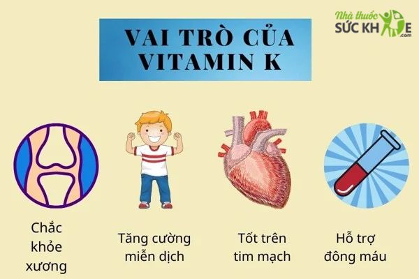 Vai trò của Vitamin K