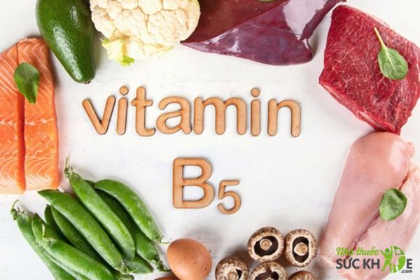 Vai trò của Vitamin B5