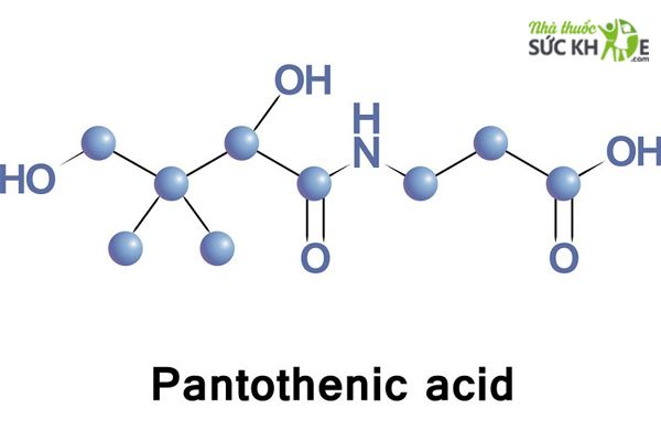 Acid Pantothenic
