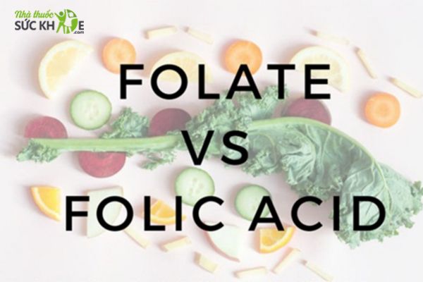 Acid Folic và Folate có giống nhau không?