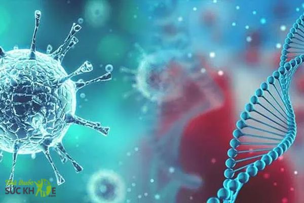 Nguyên nhân gây cảm cúm chủ yếu là do virus Influenza