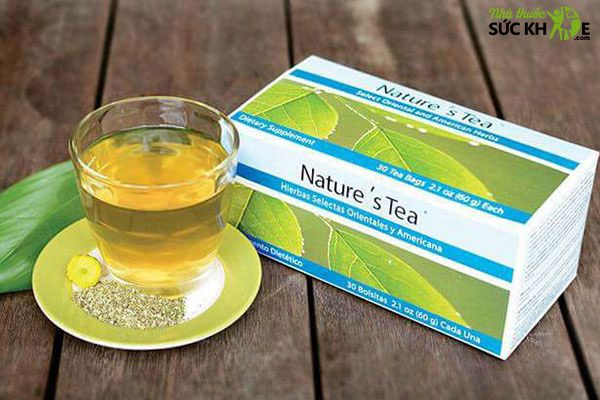 các loại trà túi lọc tốt cho sức khỏe Nature's Tea