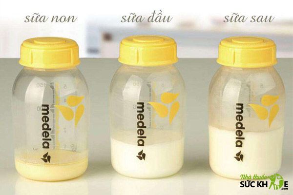 Sữa non có màu vàng và sánh hơn sữa bình thường