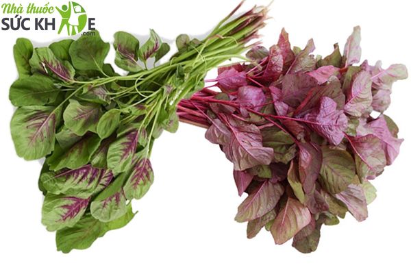 thực phẩm tăng sức đề kháng cho trẻ, Rau dền chứa nhiều vitamin đồng thời cải thiện táo bón, khó tiêu 