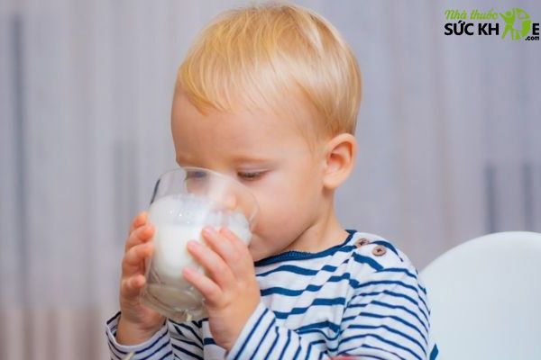 Sữa bột cho bé trên 3 tuổi