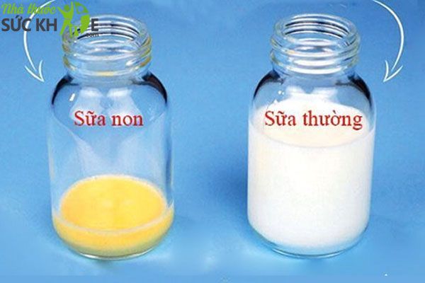 Sữa non là gì, sữa non cho trẻ biếng ăn