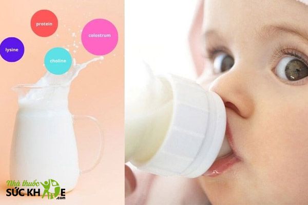 Sữa non cho trẻ sơ sinh có chứa thành phần dinh dưỡng dồi dào