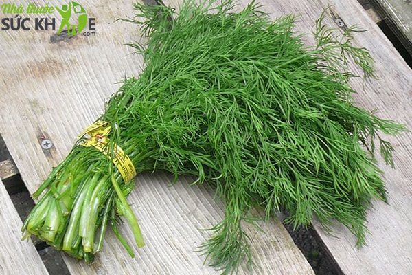 thực phẩm tăng sức đề kháng cho trẻ, Rau thì là có hiệu quả tăng đề kháng mà không phải ai cũng biết 
