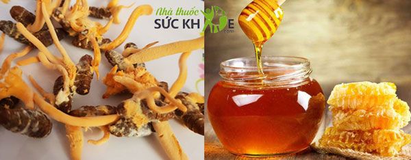 Đông trùng hạ thảo và mật ong là những dược liệu tốt cho sức khỏe 