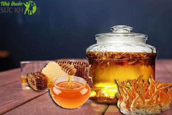 Cách ngâm đông trùng hạ thảo tươi với mật ong 