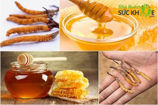 Cách ngâm mật ong với đông trùng hạ thảo khô 