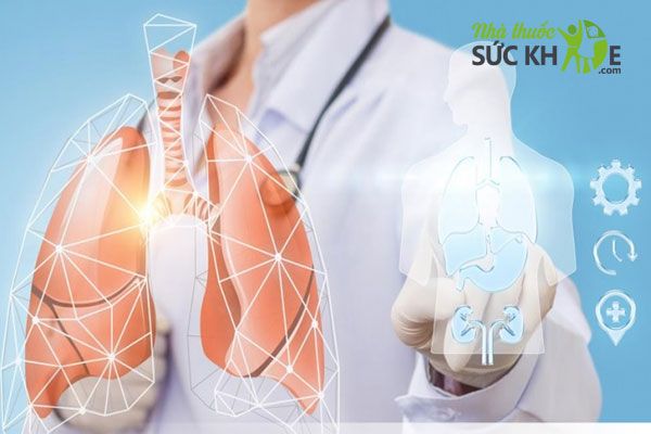 Đông trùng hạ thảo ngâm mật ong bổ phổi, điều trị bệnh hô hấp