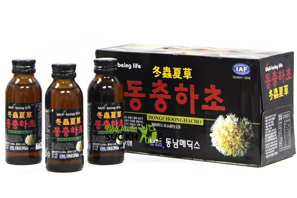 Nước uống đông trùng hạ thảo Hàn Quốc Well- Being Life