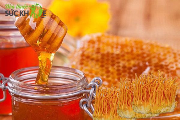 Cách bảo quản đông trùng hạ thảo ngâm mật ong