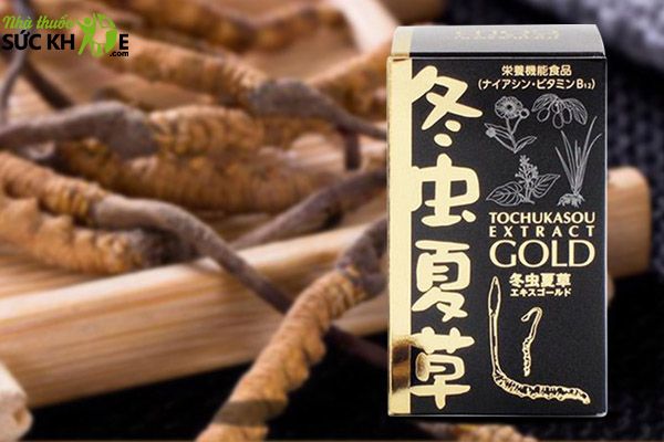 Tác dụng của đông trùng hạ thảo Nhật Bản Tohchukasou Extract Gold
