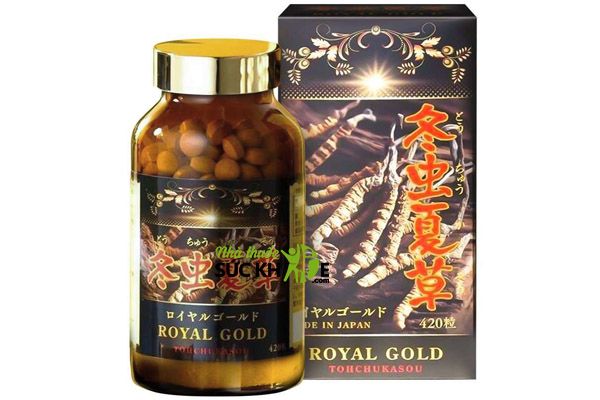 Cách dùng đông trùng hạ thảo cao cấp Tohchukasou Royal Gold