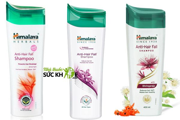 Dầu gội cho nam trị gàu Himalaya Anti Hair Fall Shampoo