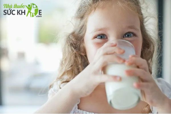 Sữa dê ít khả năng gây dị ứng hơn sữa bò 
