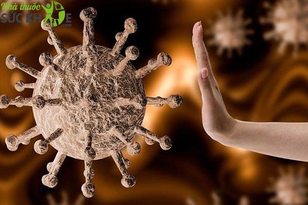 Đông trùng hạ thảo ngâm mật ong tăng sức đề kháng