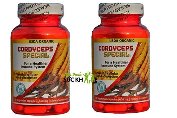 Uống đông trùng hạ thảo đỏ Cordyceps Special