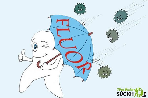 Fluor là khoáng chất bảo vệ bạn khỏi sâu răng