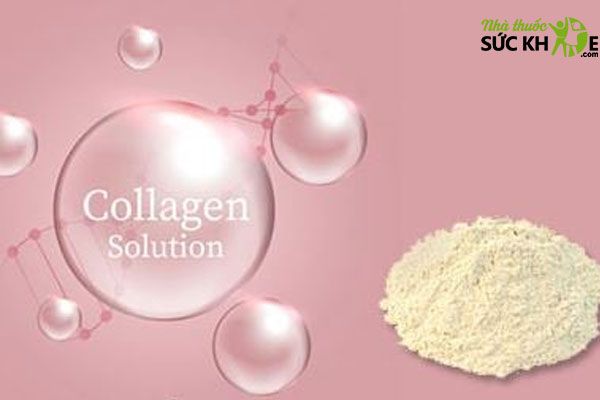 Collagen dạng bột được hấp thu nhanh và tối ưu hơn