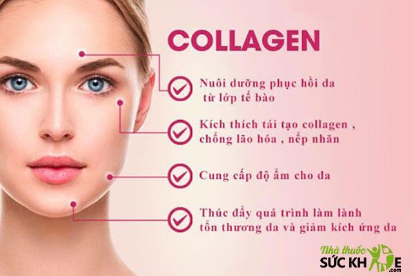 Collagen làm đẹp da, ngăn ngừa lão hóa